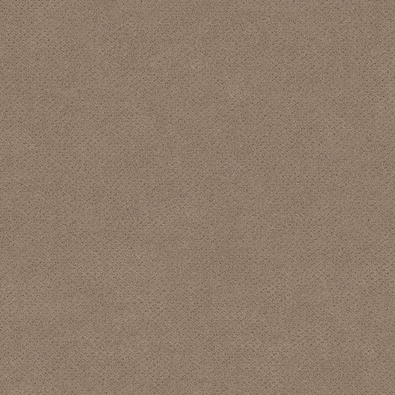 Shaw Floors El Capitan III Desert View