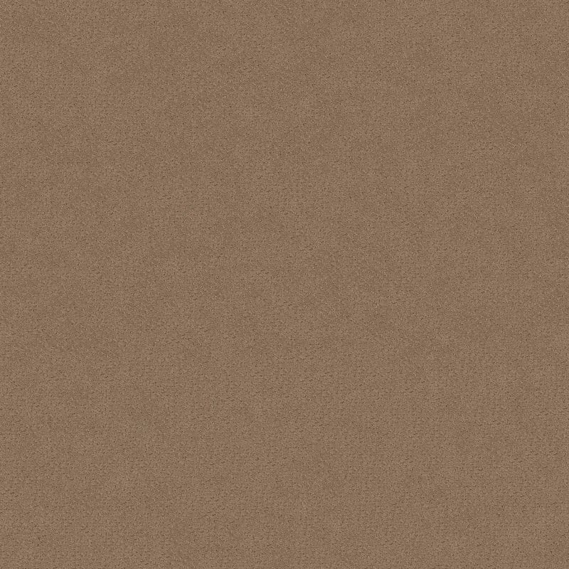 Shaw Floors El Capitan III Raw Wood