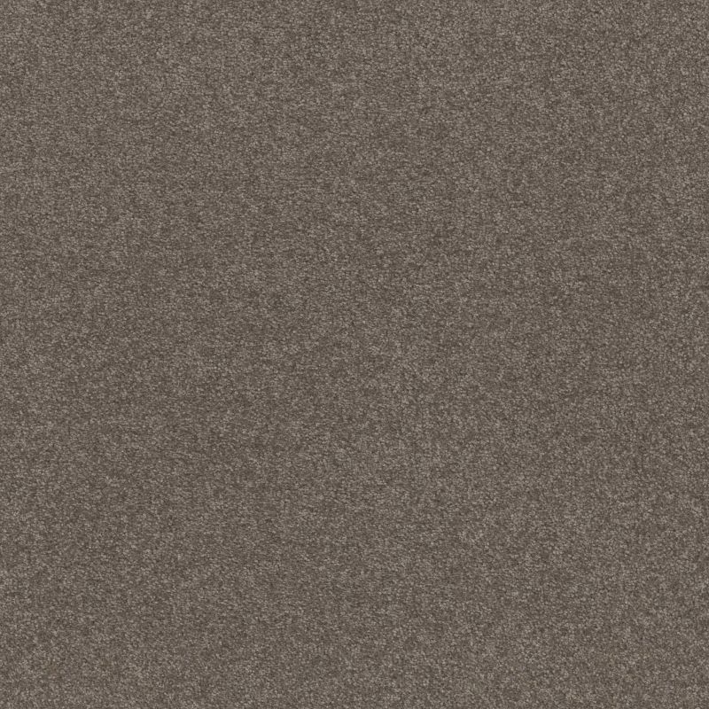 Shaw Floors Point Sur II 12 Pewter