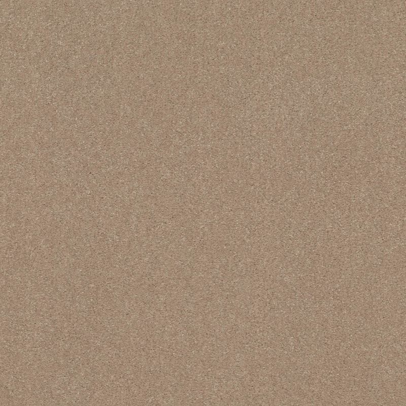 Shaw Floors Point Sur III 12 Raw Lumber