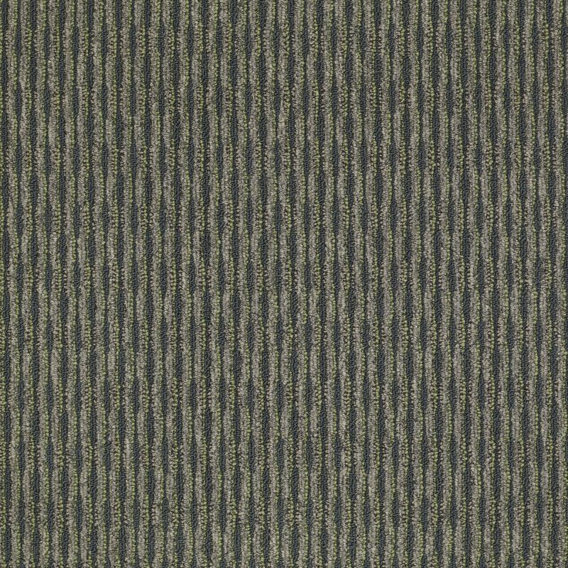 Philadelphia Commercial Shaw On Shelf Long Beach Trace