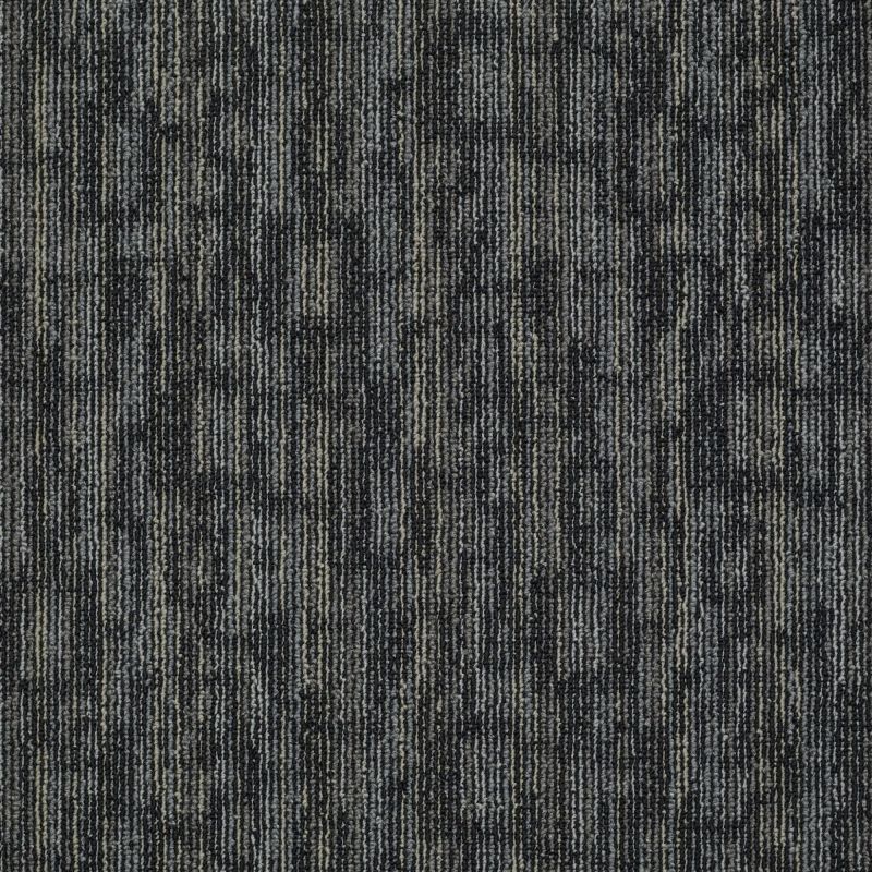 Philadelphia Commercial Special Project Commercial Sp209 Startled