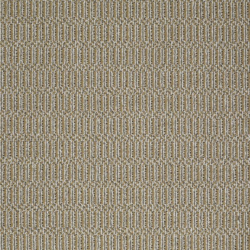 Philadelphia Commercial Roll Special Sp576 Right On