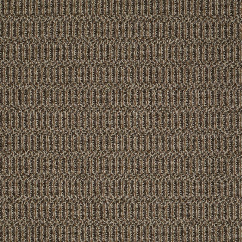 Philadelphia Commercial Roll Special Sp576 That's The Idea