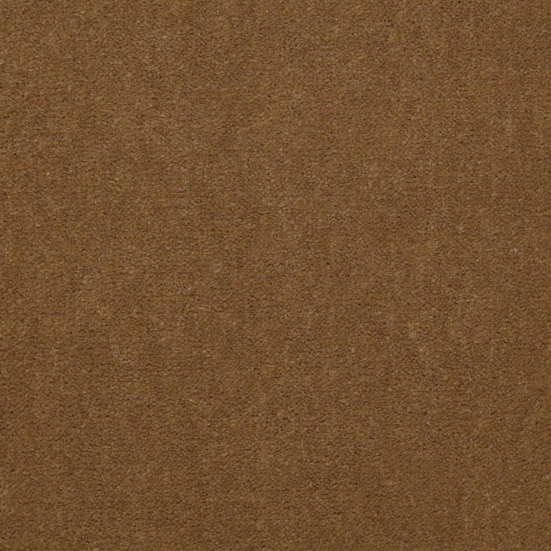 Philadelphia Commercial Special Project Commercial Sp659 Cajun