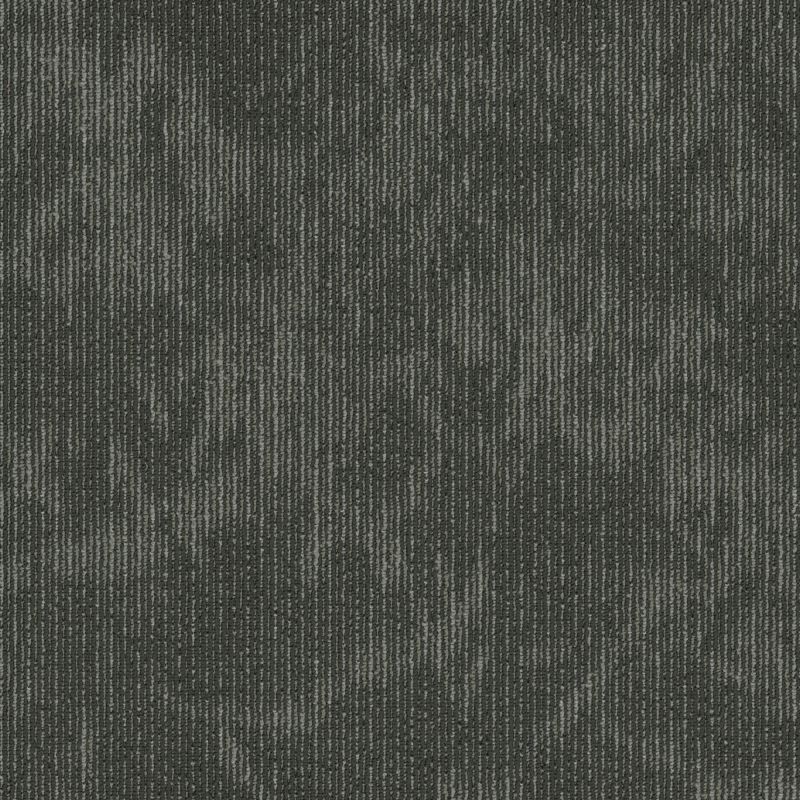 Shaw Floors Special Project Commercial Sp766 Biomimicry