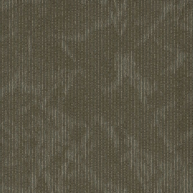 Shaw Floors Special Project Commercial Sp766 Distinction