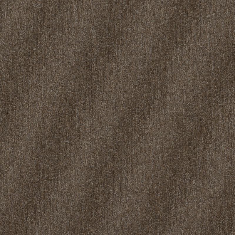 Shaw Floors Special Project Commercial Sp782 Fauna