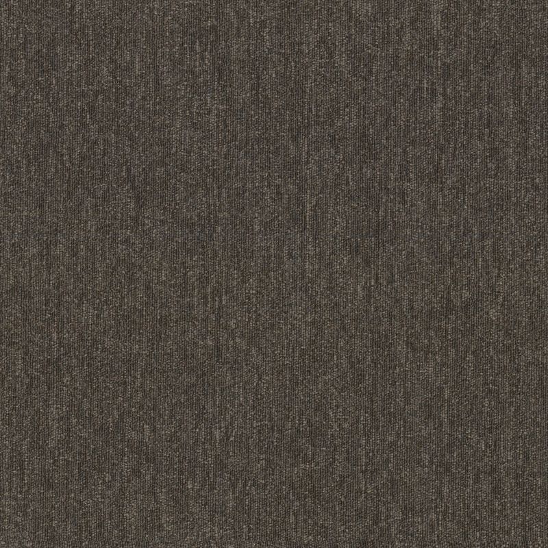 Shaw Floors Special Project Commercial Sp782 Elevation