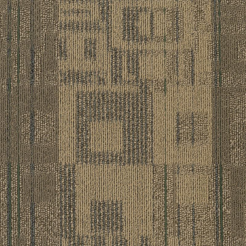 Philadelphia Commercial Special Project Commercial Sp800 Reality Tv