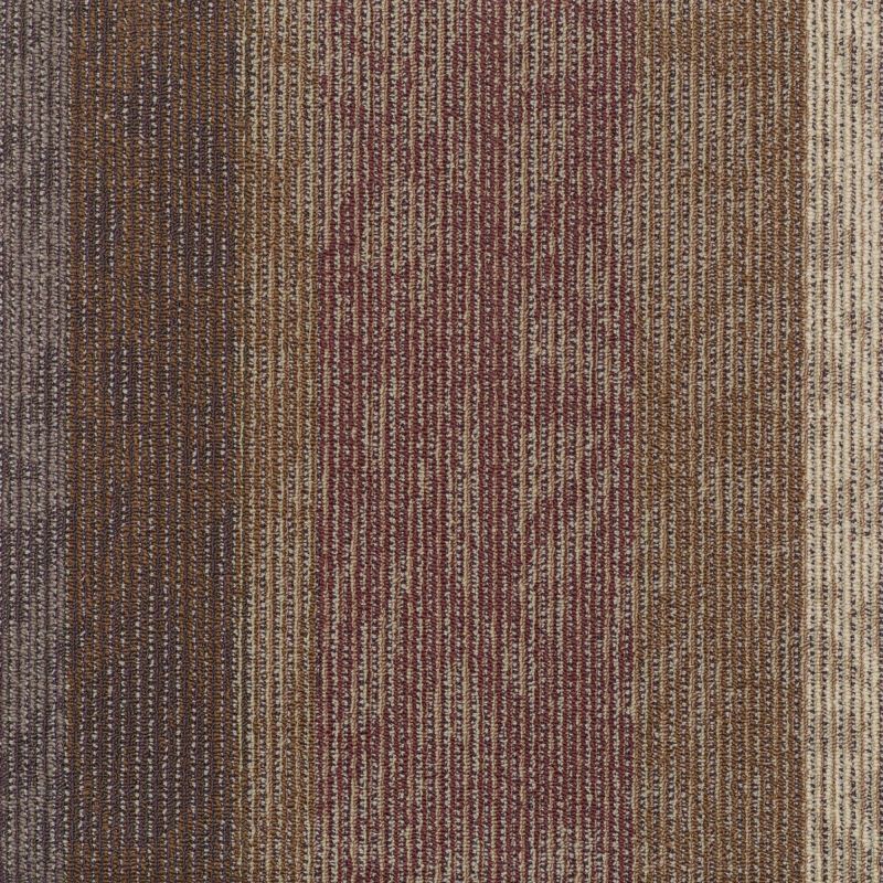 Philadelphia Commercial Special Project Commercial Sp897 Echo