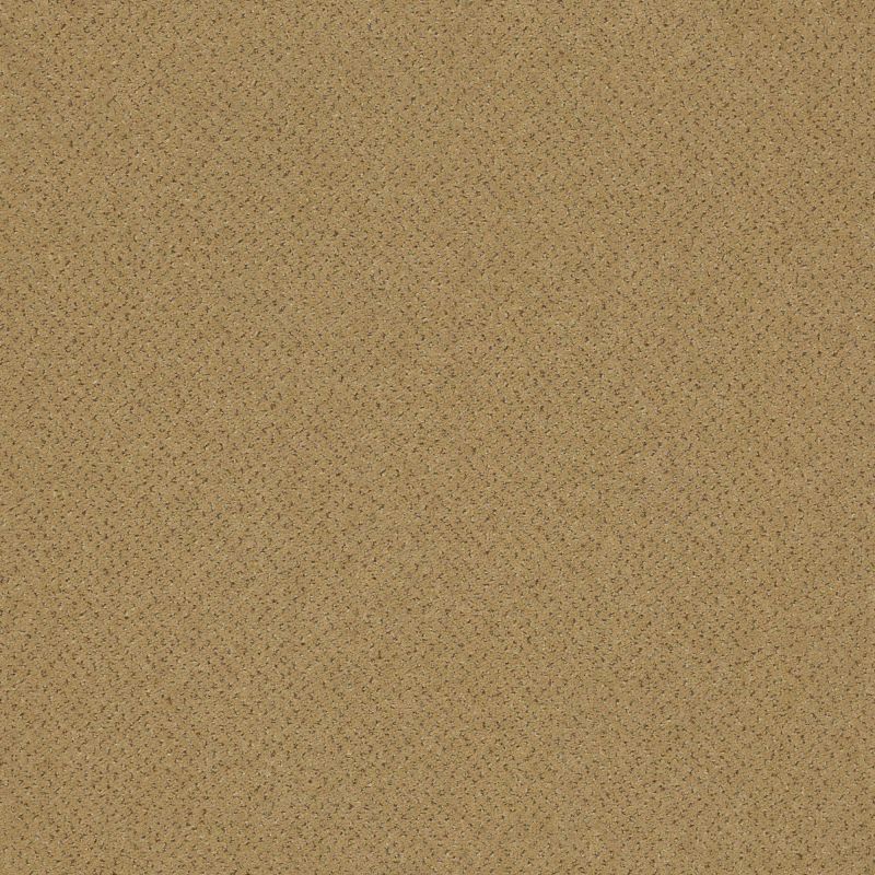 Philadelphia Commercial Special Project Commercial Sp992 Doers