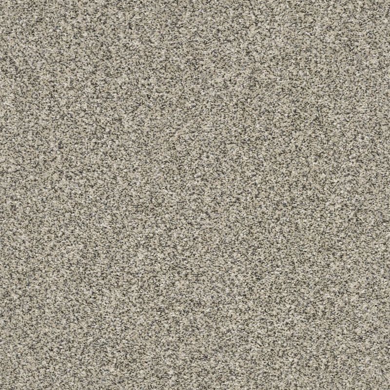 Shaw Floors Value Collections Va109 Linen