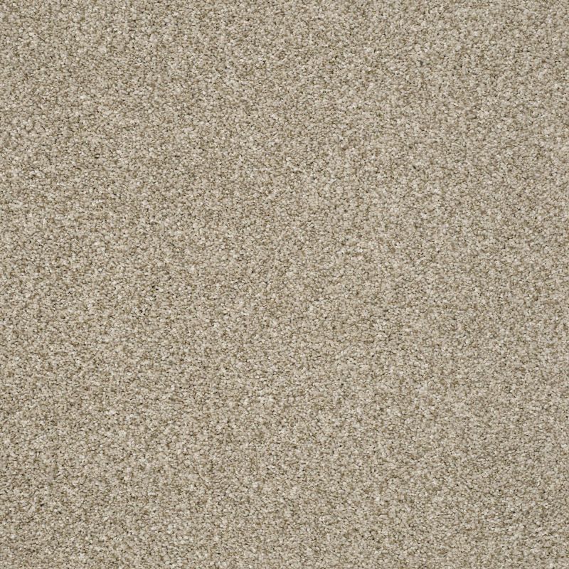 Shaw Floors Value Collections Va109 Khaki