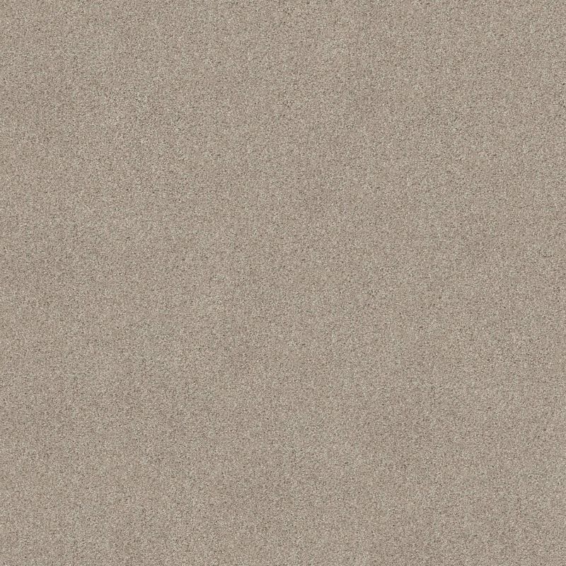 Shaw Floors Va110 Wt Catnip