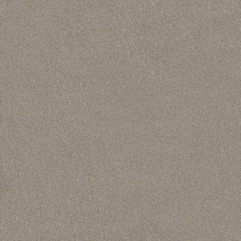 Shaw Floors Va111 Wt Frosted Ice