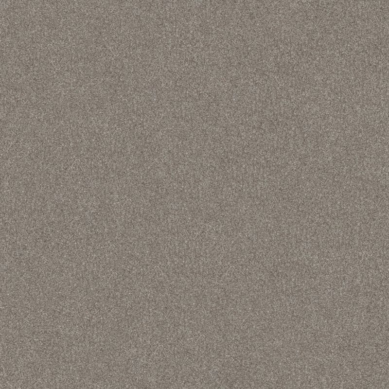 Shaw Floors Value Collections Go After It 1 Net Spinning Wheel