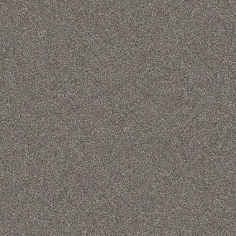 Shaw Floors Value Collections Go After It 3 Net Dockside