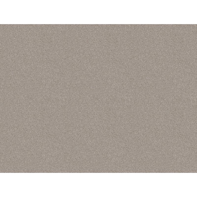 Shaw Floors Value Collections Go After It 4 Net Off Shore