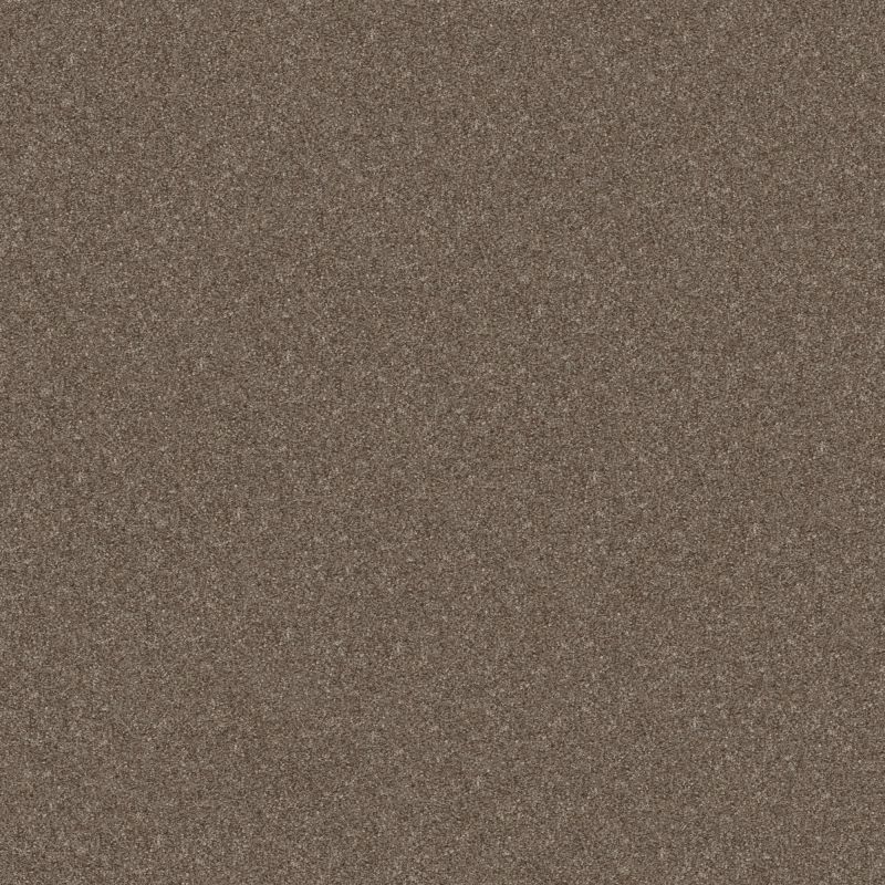 Shaw Floors Value Collections Go After It 4 Net Tree House