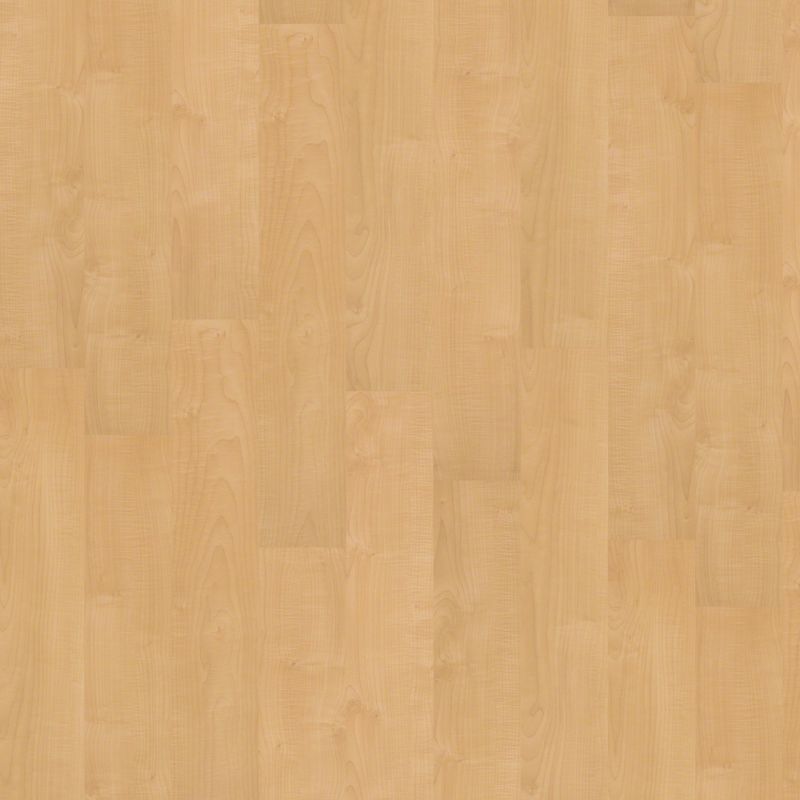 Shaw Floors Nfa HS Society 6mil Bright Lights