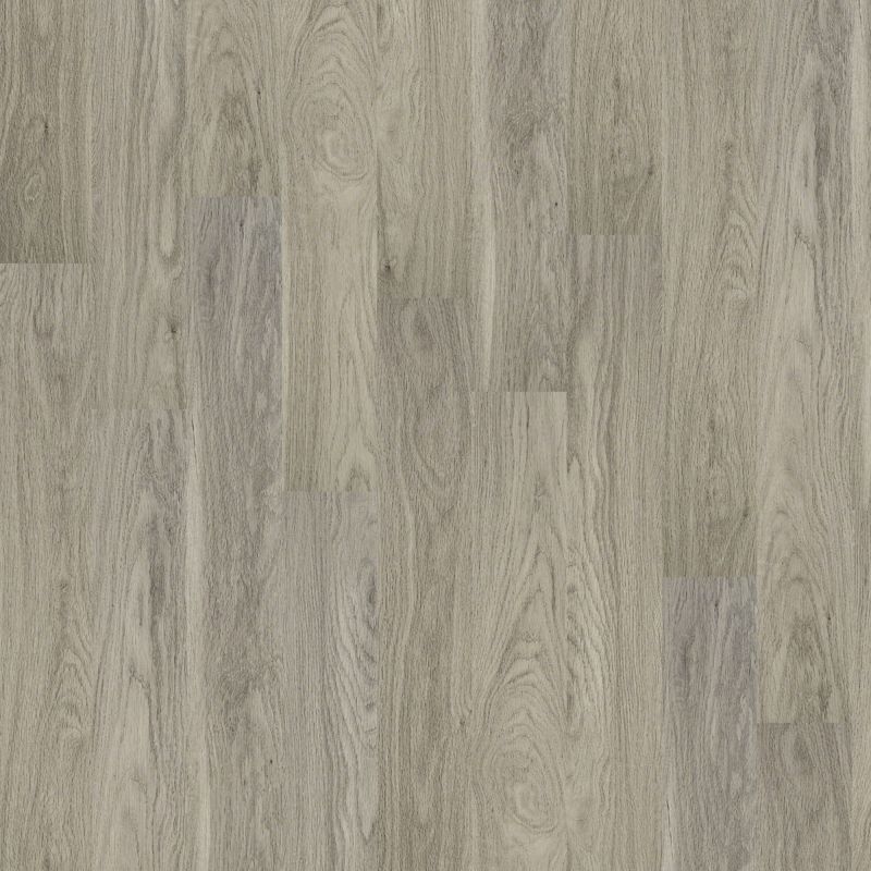 Shaw Floors Nfa HS Dover Plus Palace