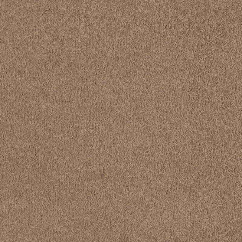 Shaw Floors Roll Special Xv131 (s) Sandstone