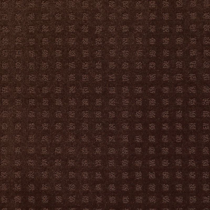 Shaw Floors Roll Special Xv621 Tree Bark