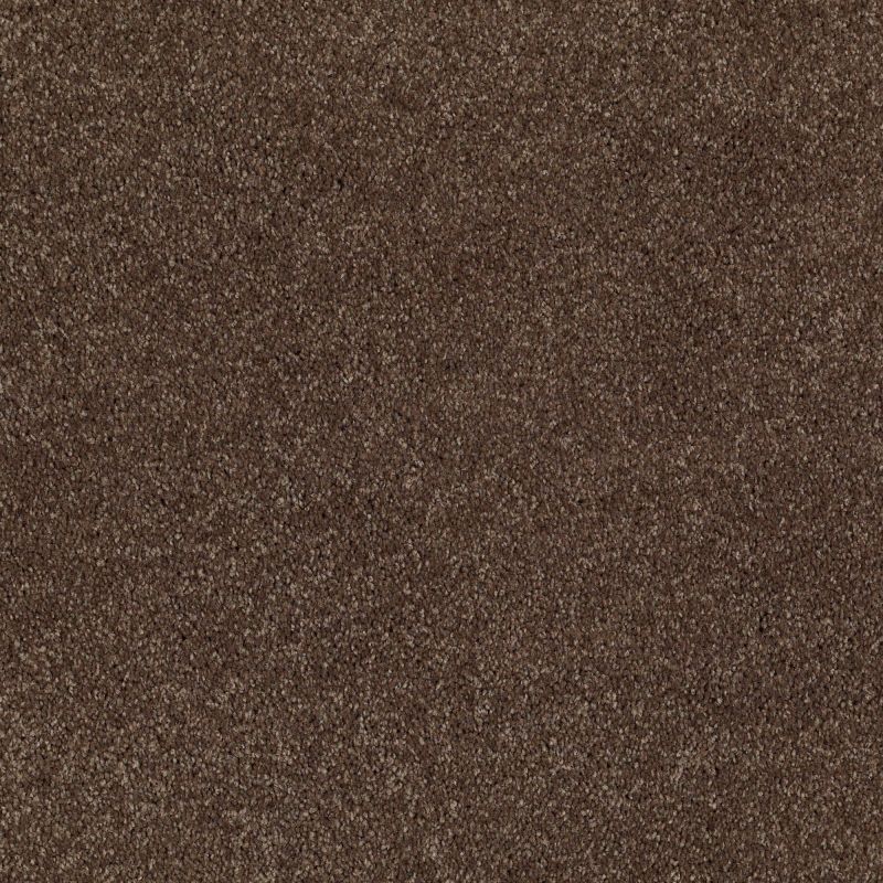 Shaw Floors Roll Special Xv694 Sedona