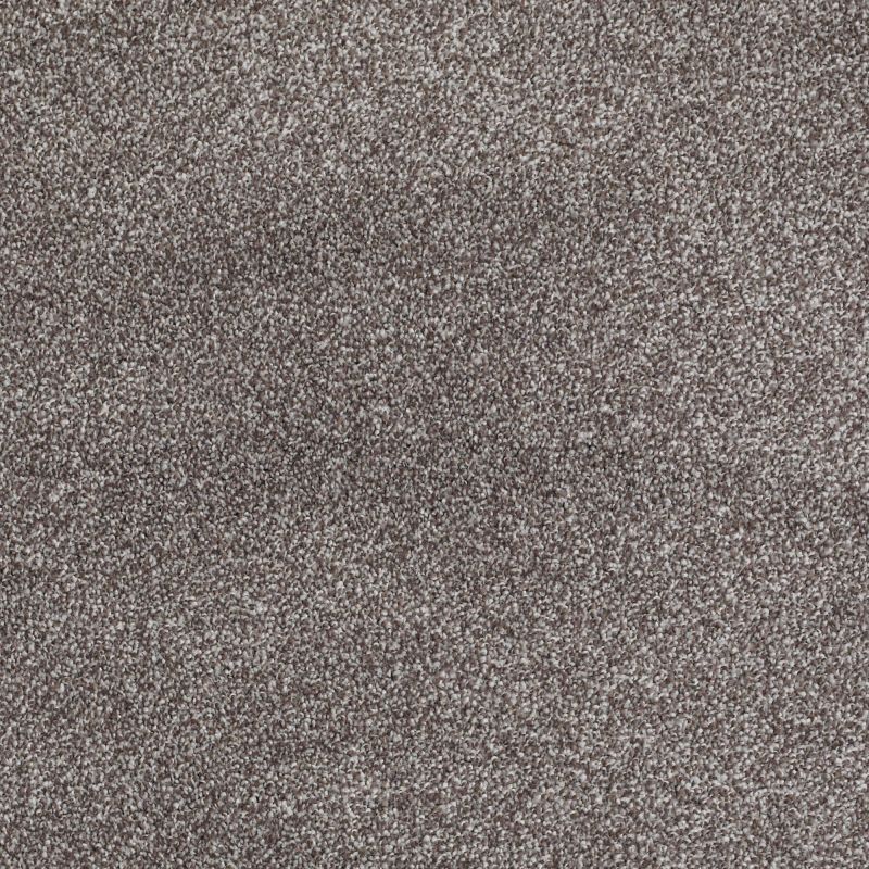 Shaw Floors Roll Special Xv816 Bear Mountain