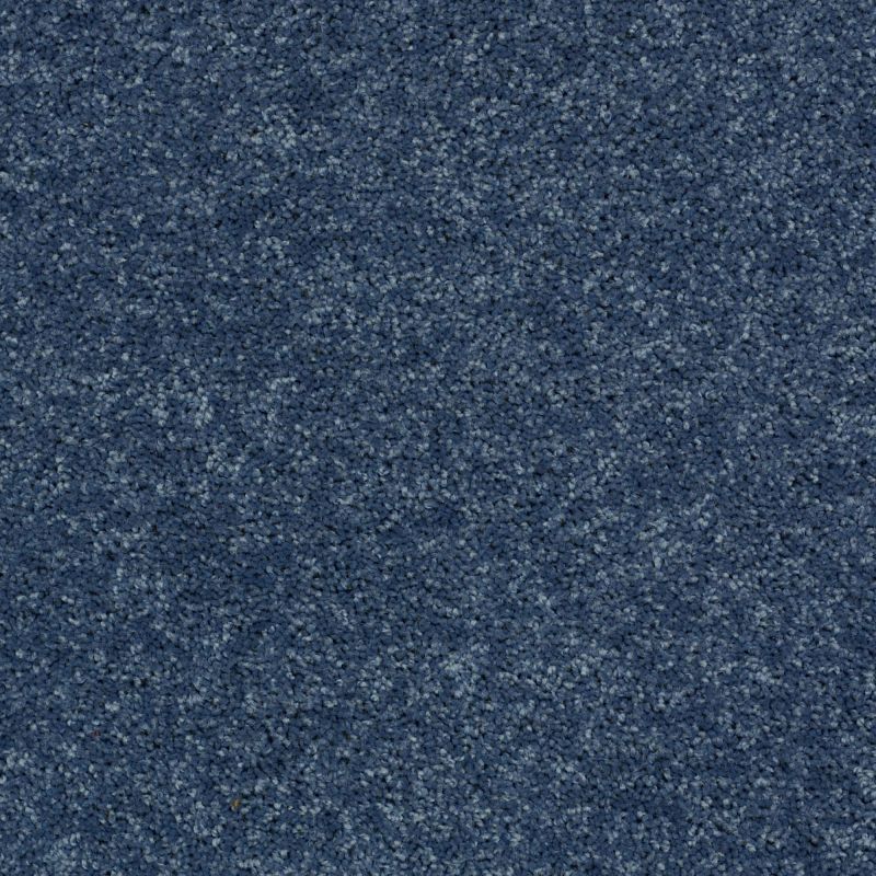 Shaw Floors Roll Special Xv865 Castaway