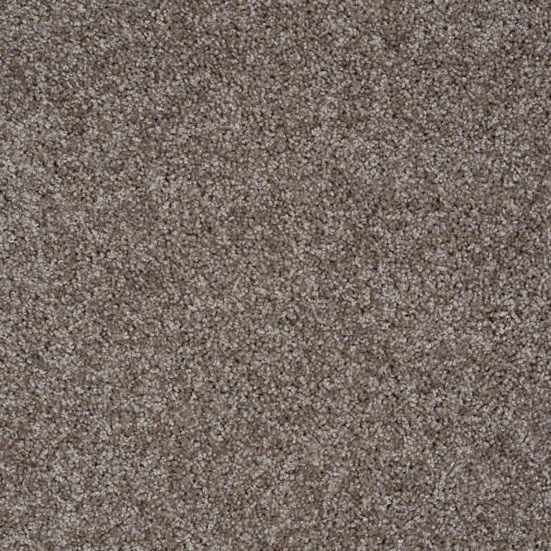 Shaw Floors Roll Special Xv893 Dockside