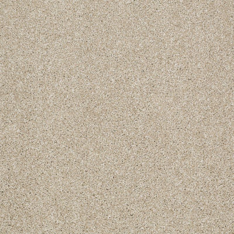 Shaw Floors Roll Special Xv925 Frost