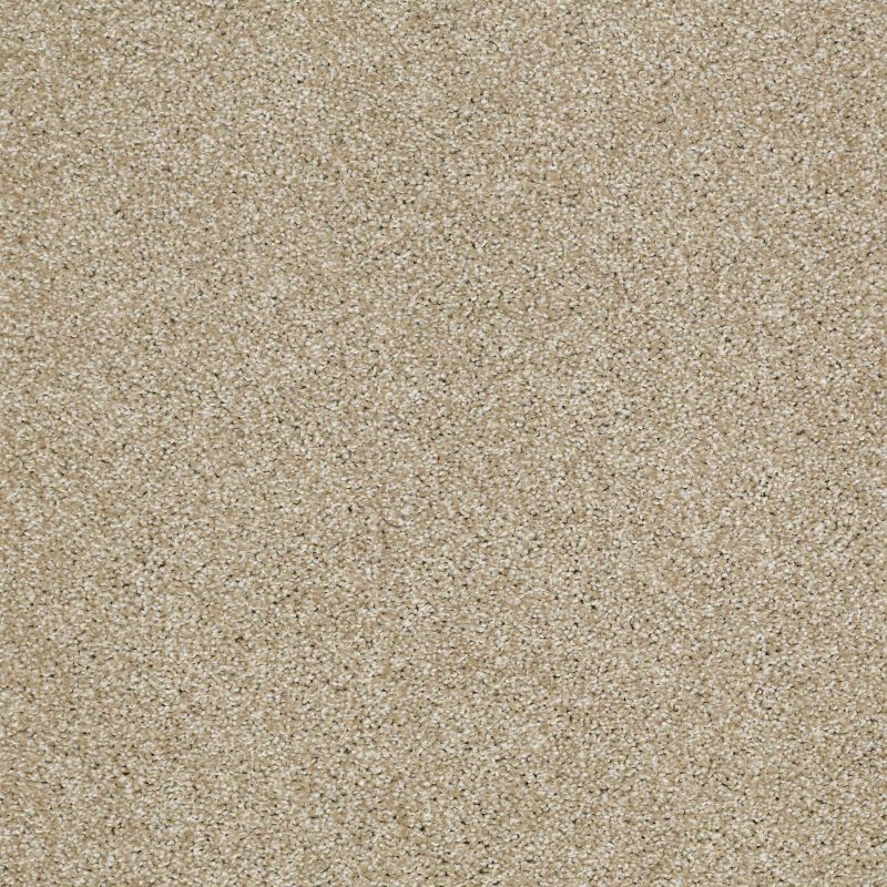 Shaw Floors Roll Special Xv925 Wool Skein