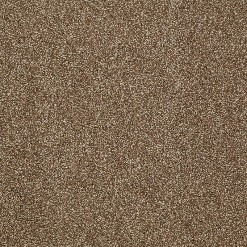 Shaw Floors Roll Special Xv925 Travertine