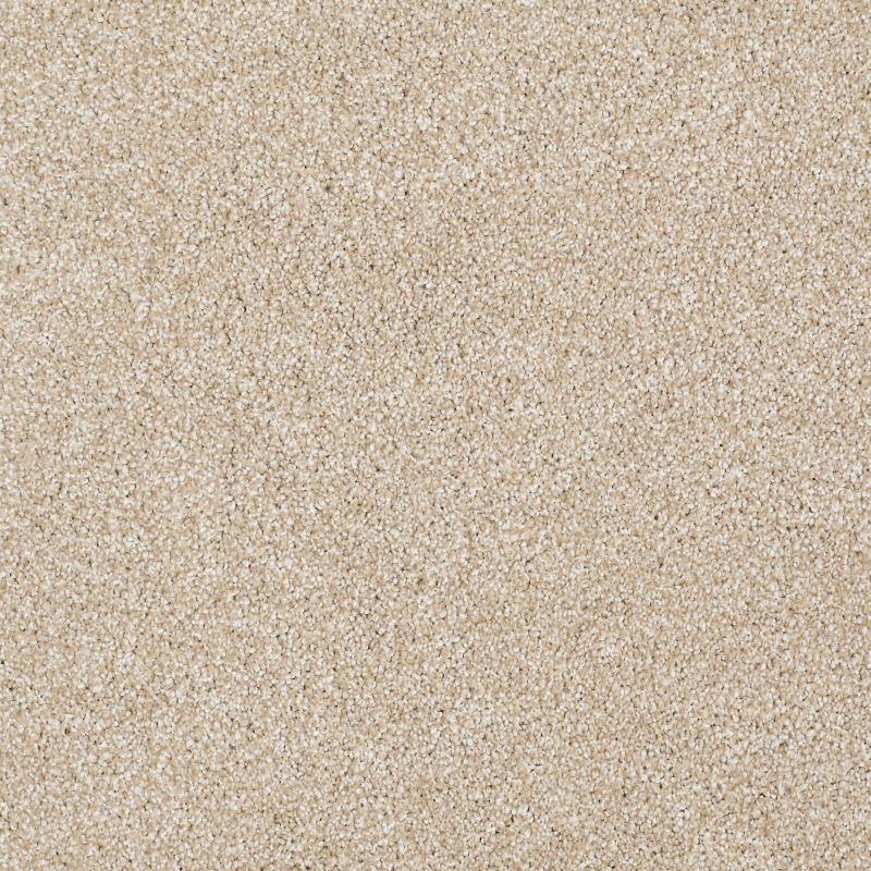 Shaw Floors Roll Special Xv931 Rich Butter