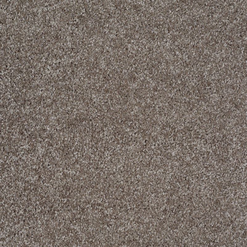 Shaw Floors Roll Special Xv974 Stone