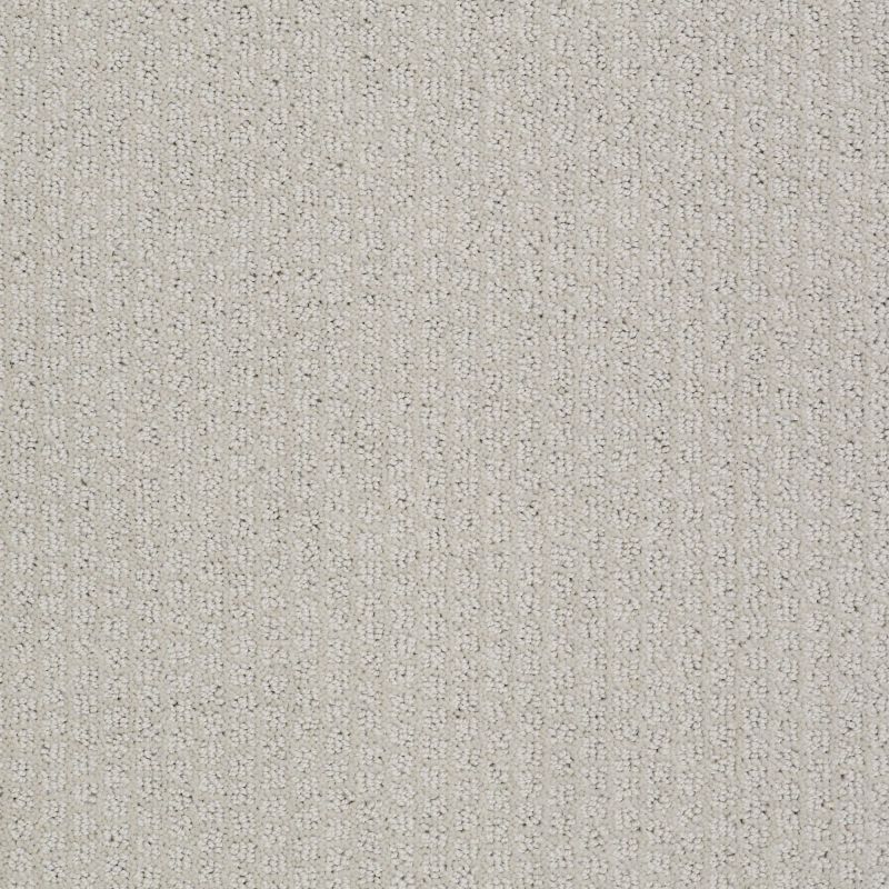 Shaw Floors Roll Special Xv988 Cold Water