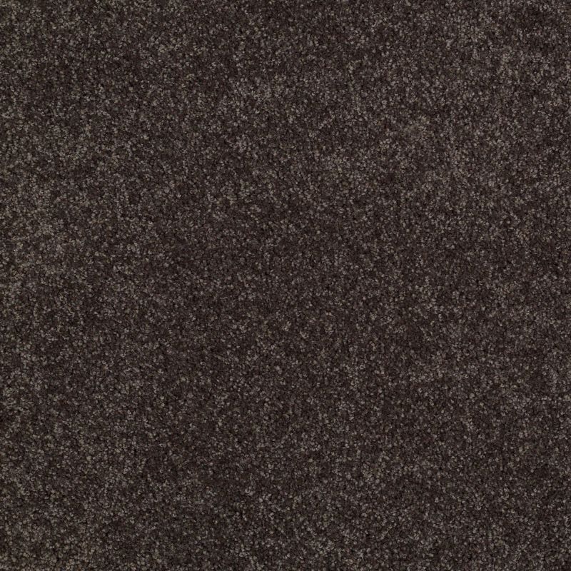 Shaw Floors Roll Special Xy024 Cabot Trail