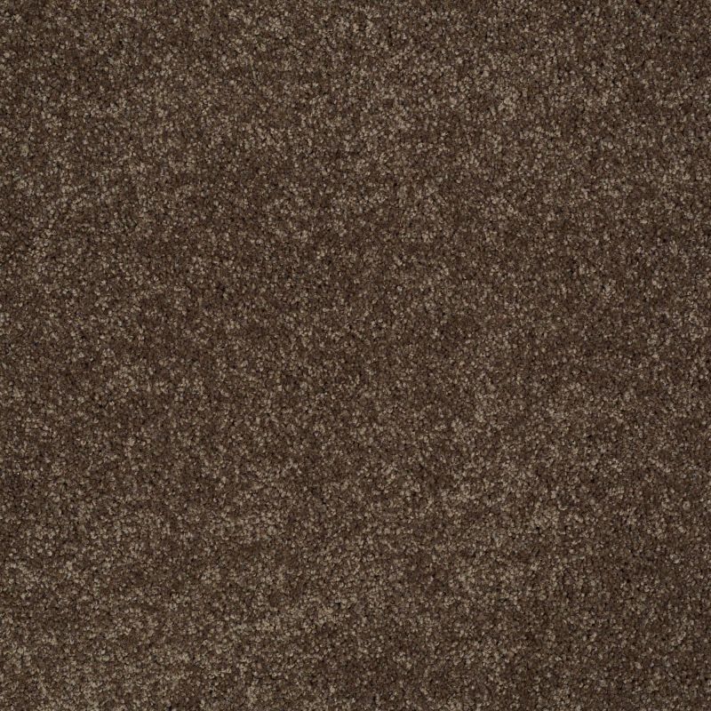 Shaw Floors Roll Special Xy024 Sedona