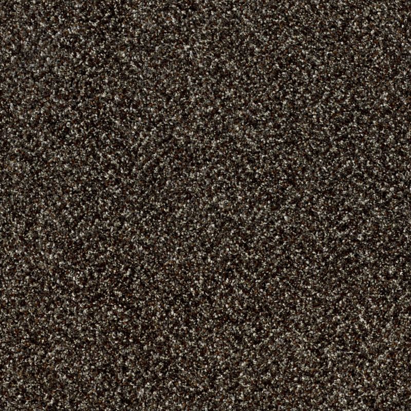 Shaw Floors Roll Special Xy138 River Rock