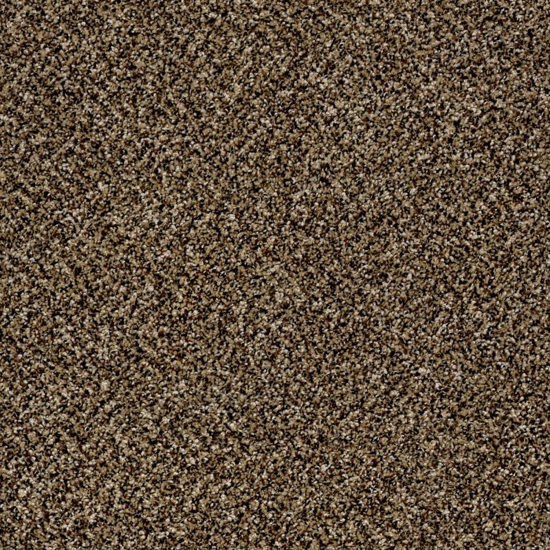 Shaw Floors Roll Special Xy142 Sandpiper