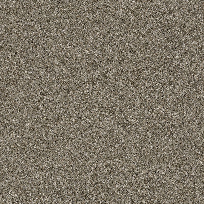 Shaw Floors Value Collections Xy165 Net Arbor