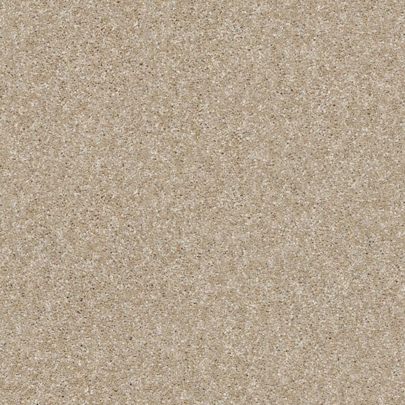 Shaw Floors Value Collections Xy165 Net Sepia
