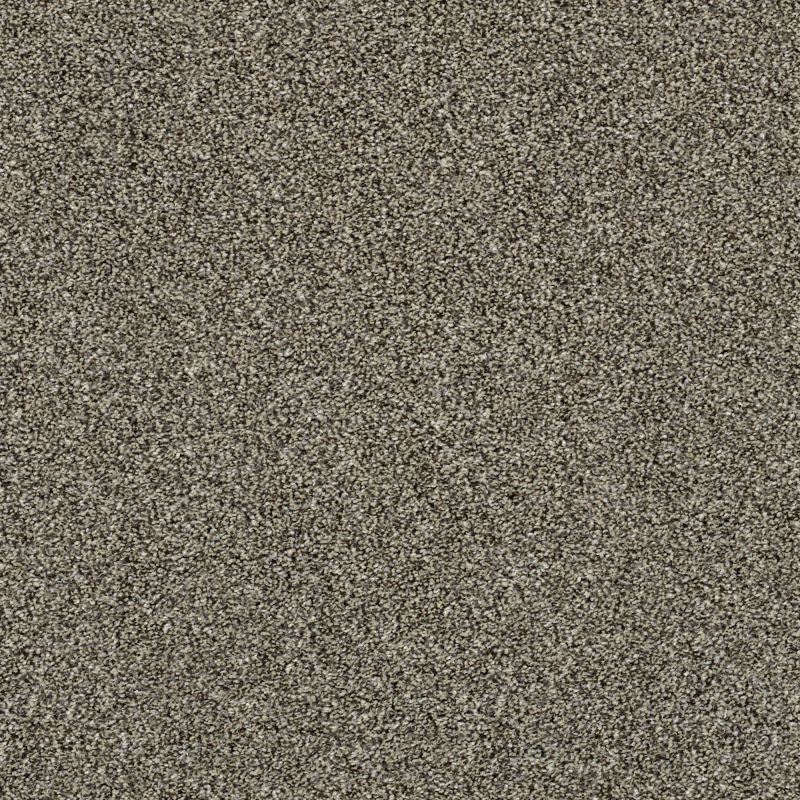 Shaw Floors Value Collections Xy165 Net Dynamic