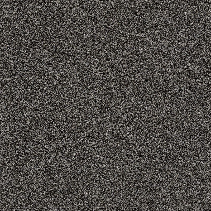 Shaw Floors Roll Special Xy166 Soot