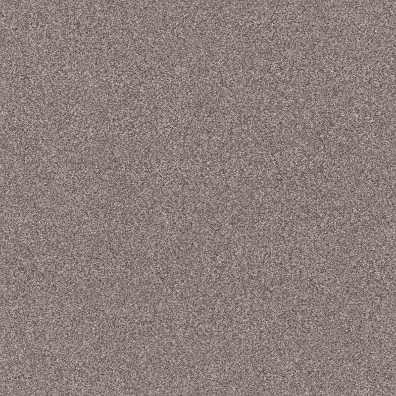Shaw Floors Roll Special Xy324 Stainless