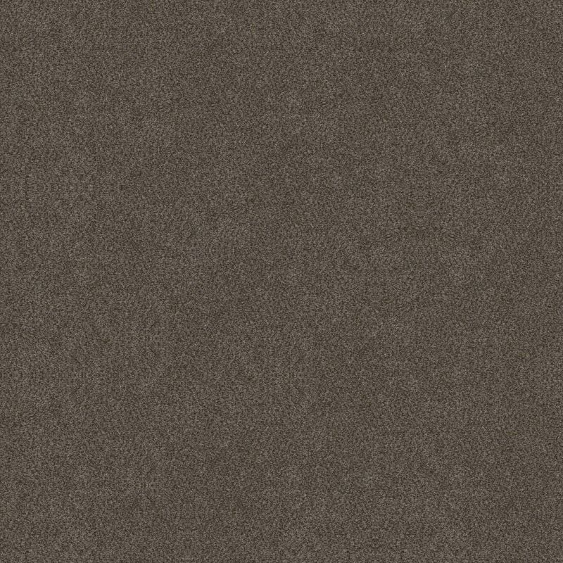 Shaw Floors Roll Special Xy326 Gateway