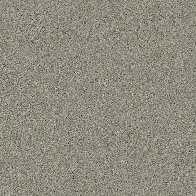 Shaw Floors Roll Special Xy326 Dreamscape