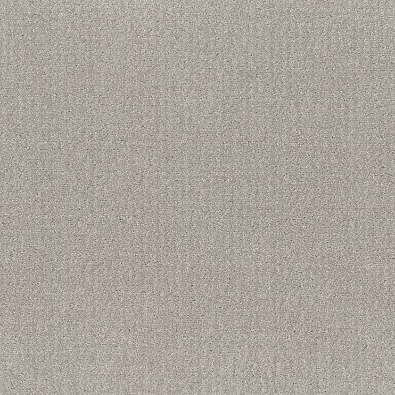 Shaw Floors Roll Special Xy337 Feather